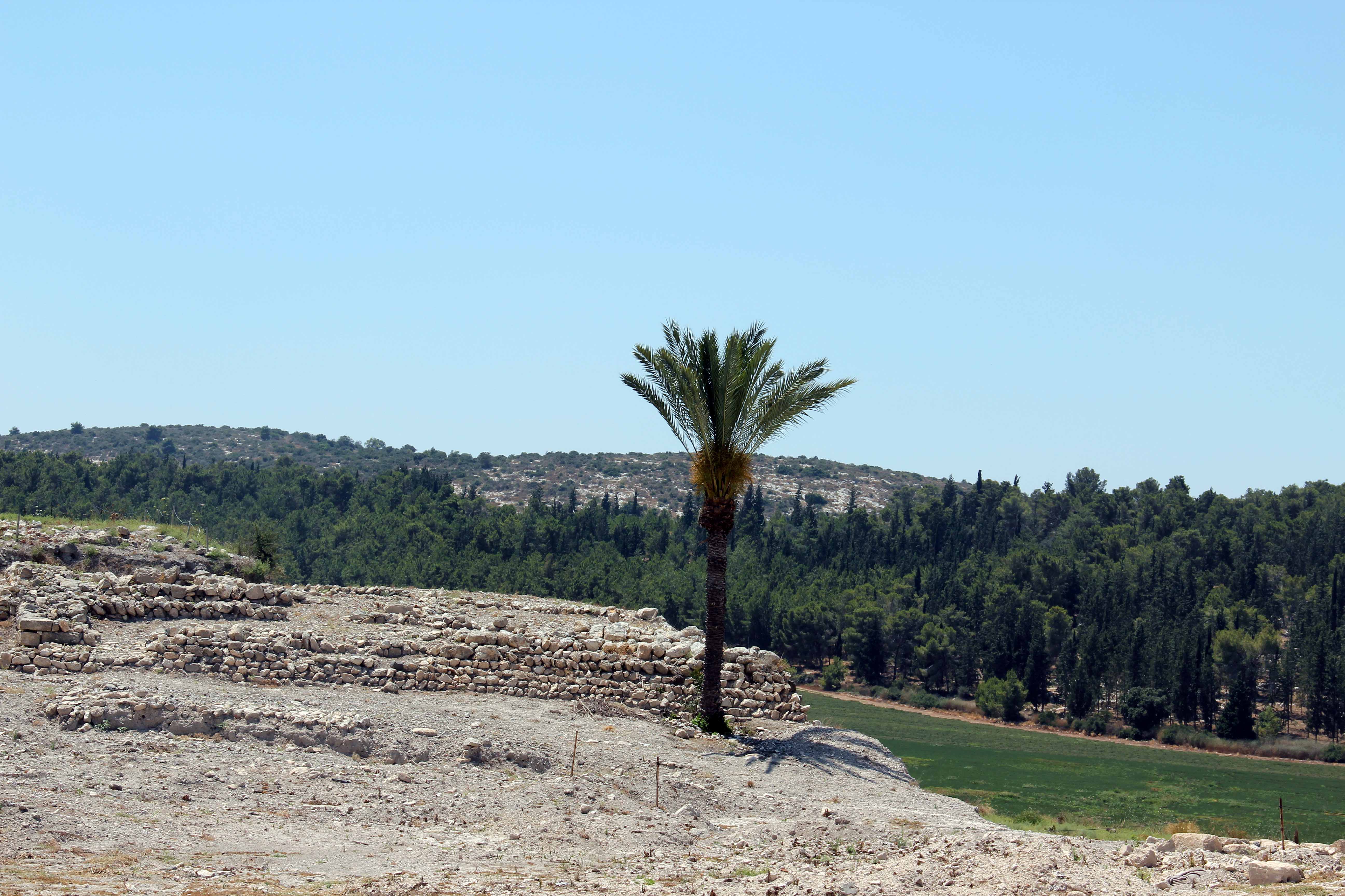 Megiddo image 27